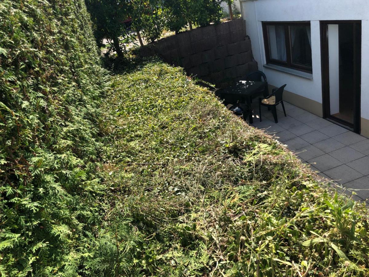 Ferienwohnung Familie Hinrichs Dorn-Durkheim Zewnętrze zdjęcie